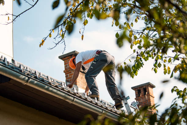 Best Chimney Flashing Repair  in Eureka, KS
